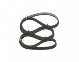 KANALLI V KAYIŞI 7PK1920