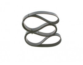 KANALLI V KAYIŞI 8PK1955