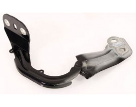 KAPUT MENTEŞESİ SAĞ FOCUS 11