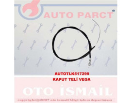 KAPUT TELİ VEGA