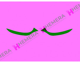 KAŞ FAR ÖN SET TK RENAULT CLIO IV 2016-2018