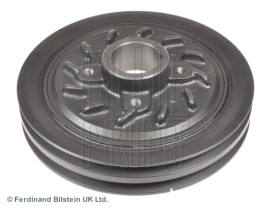 KRANK KASNAĞI GALLOPER