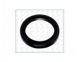 KRANK ÖN KEÇESİ TMPR 45818V 40x56x7