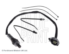 LAMBDA SONDA CARNIVAL