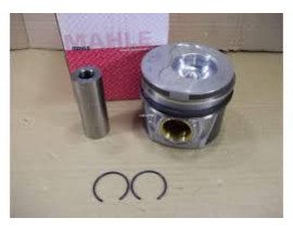 MOTOR PİSTON SEGMAN 0.50 VW T4 2.5 TDI ACV-AHD-ANJ 3.4.5 SİLİNDİR 81.51