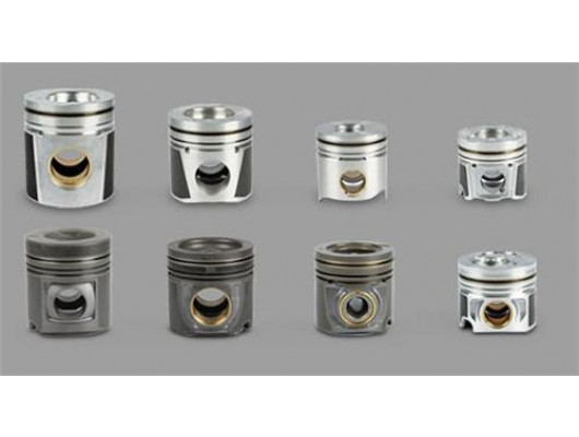 MOTOR PİSTON SEGMAN 1.00 -0.25 KISA 2.4D 24 PIM CADDY II-GOLF III-PASSAT-POLO-T4 79.51mm