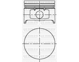 MOTOR PİSTON SEGMAN CLIO MGN 1.4 8V K7J STD 79.50 MM