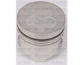 MOTOR PİSTON SEGMAN R19-CLIO 1.9 DZL F8Q 80.00 ÇAP STD