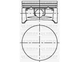 MOTOR PİSTON SEGMAN STD MERIVA-ASTRA Twinport 03 Z 1.6 XEP 79.0