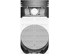 MOTOR PİSTON SEGMAN STD TU5JP4 1.6 16 V TEPE YÜK 0.15 MM 109 KW