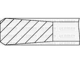 MOTOR SEGMANI 0.50 75.00 mm PEUGEOT-FORD 1.6 HDI