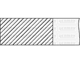 MOTOR SEGMANI 0.60 82.20 mm PARTNER-EXPERT-P206 1.9 D