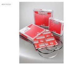 MOTOR SEGMANI R19-EXP-KNG 1.9 DZL F8Q 80.00 mm 1.00