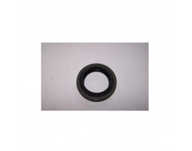 ÖN AKS KEÇESİ DUSTER 4X4