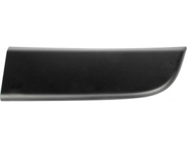 ÖN KAPI ÇEVRE BANDI SAĞ MASTER III KAPI ÇITASI