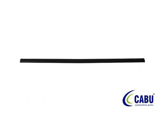 ON KAPI KUSAGI SAG -SOL FOCUS II 05 08 C MAX 03 08