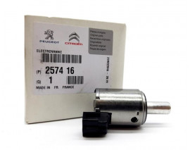 OTOMATİK ŞANZUMAN VALFİ MEGANE-CLIO-KANGOO-207-208-307 406 407 CELYSEE C3 C4 C5 DS3 AL4 ŞANZUMAN