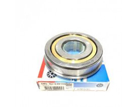 PİRİZDİREK RULMANI M131-SAMARA-NİVA ÇİFT İÇ BLEZİKLİ / PRİNÇ KAFES QJ0106