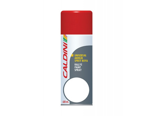 RADYATOR ICI TEMIZLEME EKSTRA 750 ml.