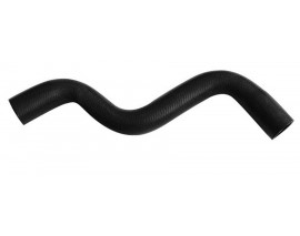 RADYATÖR ÜST HORTUMU MGN I 1.4-1.6 8V 97 MD