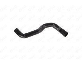 RADYATÖR ÜST HORTUMU MGN-R19 1.8