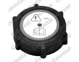 RADYATOR YEDEK SU DEPOSU KAPAGI MONDEO BENZINLI 98 07 CIFT CIKIS