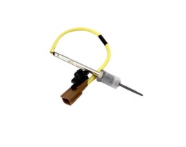 RN135J-CWE EGSOZ GAZI SICAKLIK SENSÖRÜ