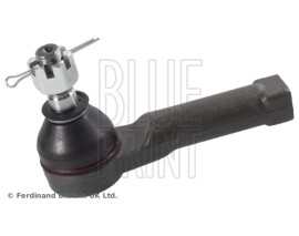 ROT BAŞI SHUMA/SEPHIA