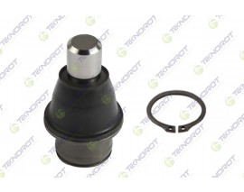 ROTIL ON ALT MERCEDES X-CLASS W470 17