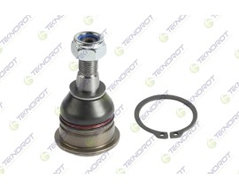 ROTİL ÖN ALT NISSAN ALMERA N16 00 06 PRIMERA P12 02 08