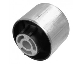 SALINCAK BURCU ARKA-PASSAT 2005