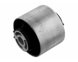 SALINCAK BURCU ARKA SHARAN