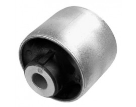 SALINCAK BURCU BMW F07 F10 F11