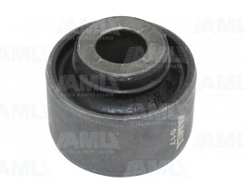 SALINCAK BURCU BÜYÜK CLIO V