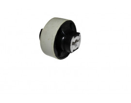 SALINCAK BURCU BÜYÜK DOBLO 2010