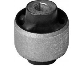 SALINCAK BURCU BÜYÜK MGN III- FLUENCE-SCENIC III-MGN CC