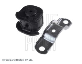 SALINCAK BURCU CARISMA