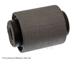 SALINCAK BURCU EPICA