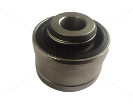 SALINCAK BURCU INSIGNIA