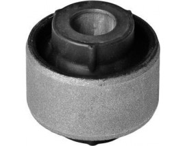 SALINCAK BURCU KÜÇÜK MGN III- FLUENCE-SCENIC III-MGN CC