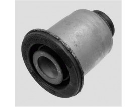 SALINCAK BURCU KÜÇÜK RENAULT MEGAN II 02 SCENIC II 03