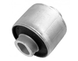 SALINCAK BURCU ON ALT BUYUK MERCEDES S-CLASS W220 C215