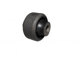 SALINCAK BURCU ÖN LGN II -TRAFIC