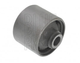 SALINCAK BURCU SUZUKI