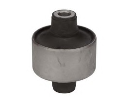 SALINCAK BURCU TRAJET