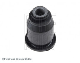 SALINCAK BURCU TRIBUTE