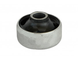 SALINCAK BURCU VW POLO III