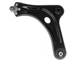 SALINCAK ÖN SOL ALT C3 II 09 C4 CACTUS 14 DS 3 10