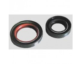 ŞANZUMAN KEÇESİ PARTNER 29.85x47x11.3