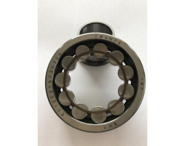 ŞANZUMAN RULMANI CLIO-KNG-LGN-MGN-R19-SCENIC 25x59x18 EC12625S02H206 x